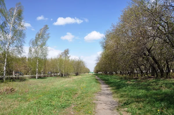 Le chemin le long de la ruelle . — Photo