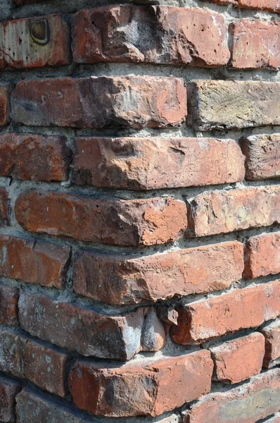 L'angle d'un mur de briques . — Photo