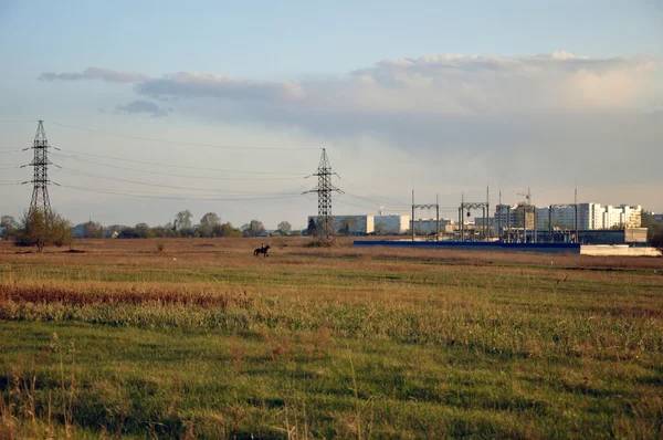 Uitzicht op de groene weide en de stad. — Stockfoto