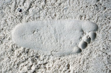 Footprint. clipart