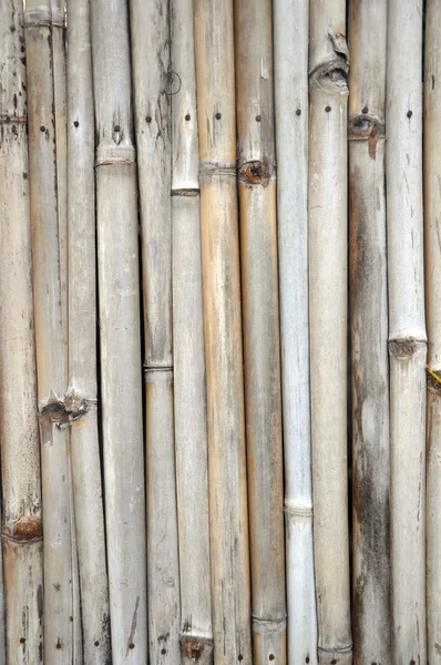 Een omheining gemaakt van bamboe. — Stockfoto