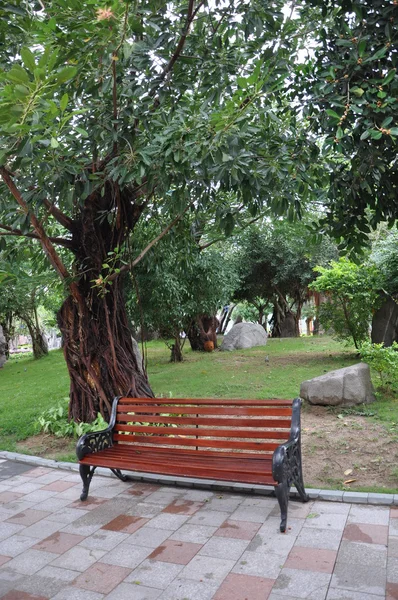 stock image Bench near the tree.