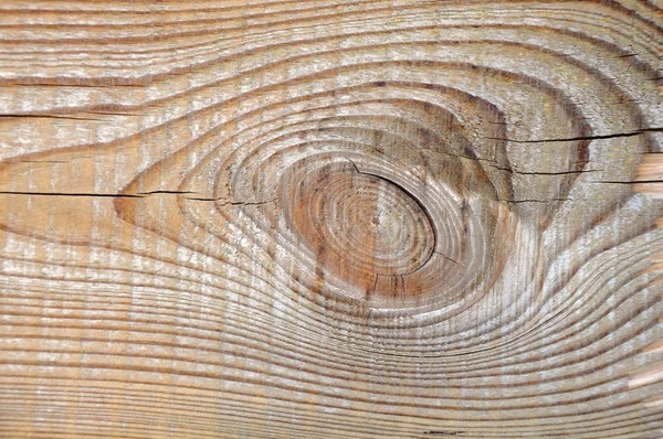 Текстура дерев'яних дощок . — стокове фото