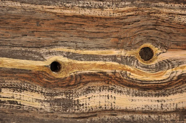 Деревини. Текстура . — стокове фото