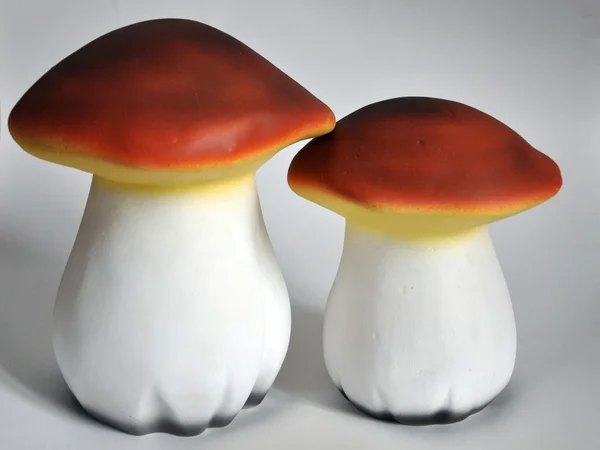 stock image Mushrooms