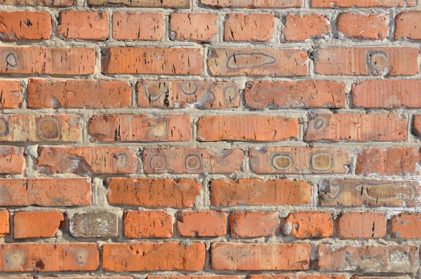 Brick wall. — Stock Photo, Image