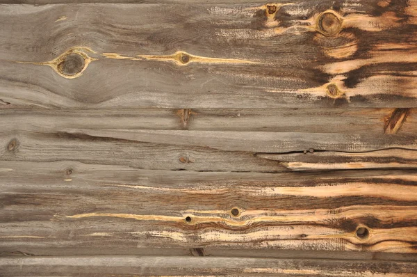 Dřevo. textura. — Stock fotografie