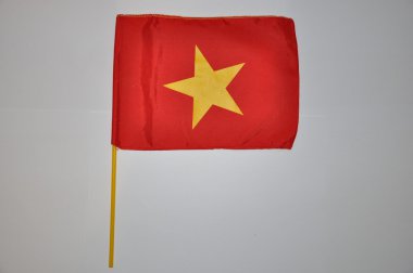 Vietnam Bayrağı.