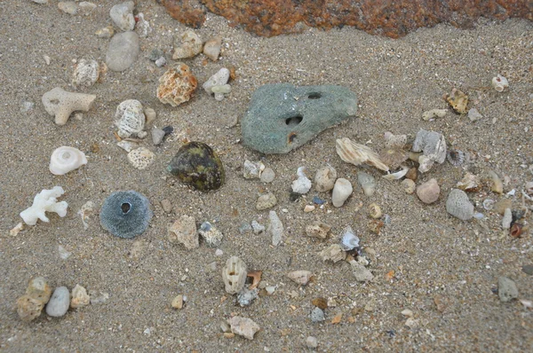 Textur. Sand, Korallen und Felsen. — Stockfoto