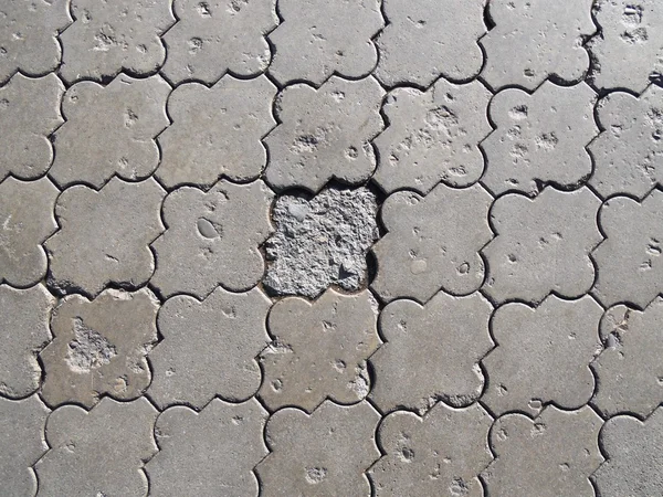 Тротуарная плита . — стоковое фото