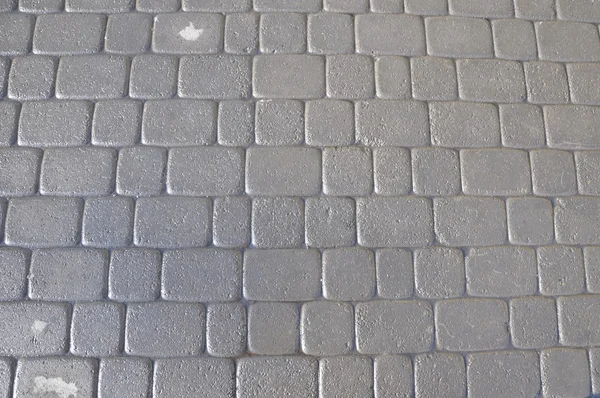 Тротуарная плита. Текстура . — стоковое фото
