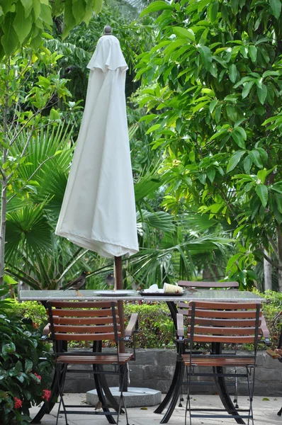 Mesa de café sobre un fondo de árboles tropicales . — Foto de Stock