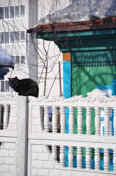 Czarny kot na biały płot. — Zdjęcie stockowe