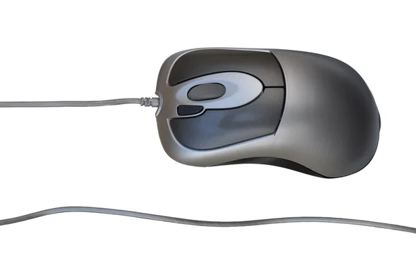 Computer mouse. — Stock Photo, Image