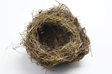 Bird's nest clipart