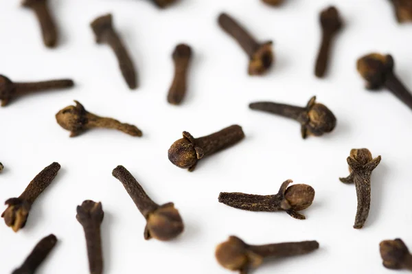Cloves on a white background — Stock Photo, Image
