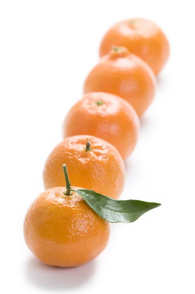 Апельсины в ряд — стоковое фото