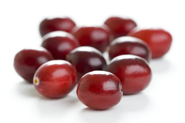 stock image Fresh cranberries isolated