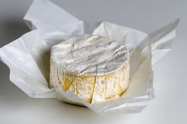 stock image Camembert cheese