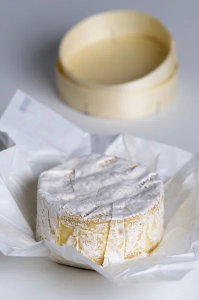 Stock image Camembert cheese