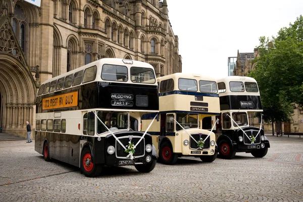 Düğün otobüsler — Stok fotoğraf
