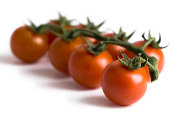 Wijnstok cherry tomaten — Stockfoto