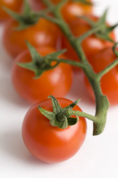 Révy cherry rajčata — Stock fotografie
