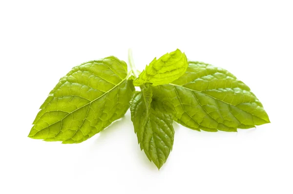 Mint leaves on white — Stock Photo, Image