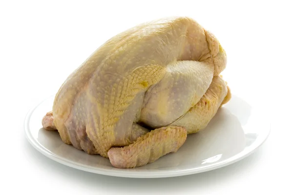 Råa ekologiska freerange majs utfodras kyckling — Stockfoto
