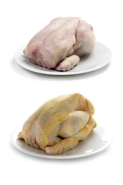 Pollo crudo allevato e allevato all'aperto biologico mais alimentato compa — Foto Stock