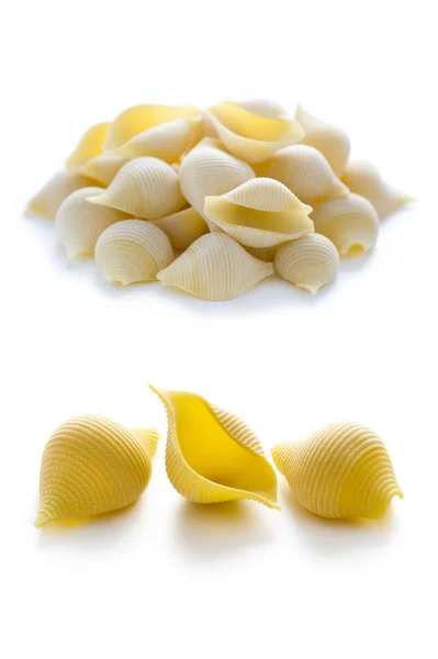 Conchiglioni pasta shells — Stock Photo, Image