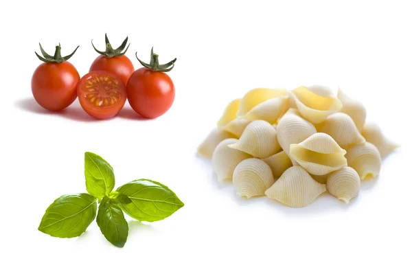 Conchiglioni pasta shells, tomatoes and basil leaves — Stock Photo, Image