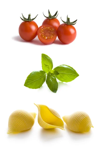 Conchiglioni pasta snäckor, tomater och basilikablad — Stockfoto