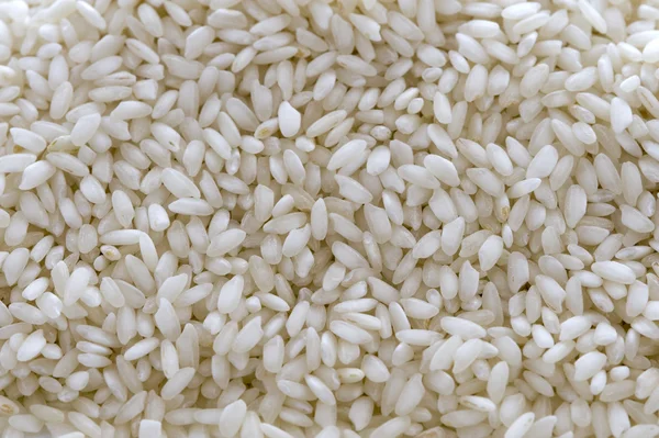 Carnaroli rizs — Stock Fotó
