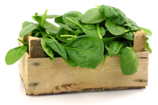 Wooden box with freshly harvested spinach leaves — Stock Photo, Image
