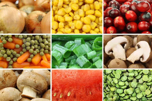 Coleta de legumes variados — Fotografia de Stock