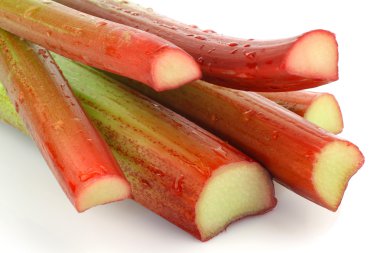 Freshly cut stems of rhubarb clipart