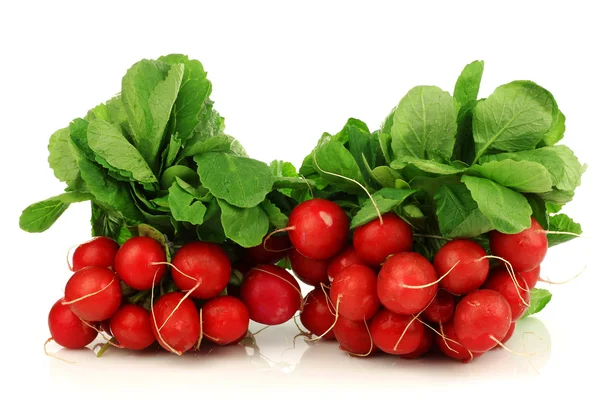 Bunch of fresh radishes — Stock Photo, Image