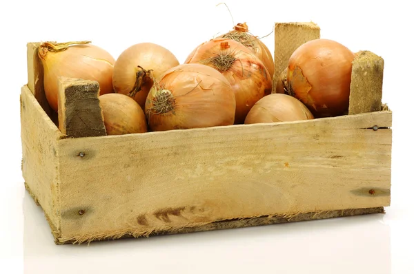 Uma caixa de madeira com cebolas marrons — Fotografia de Stock