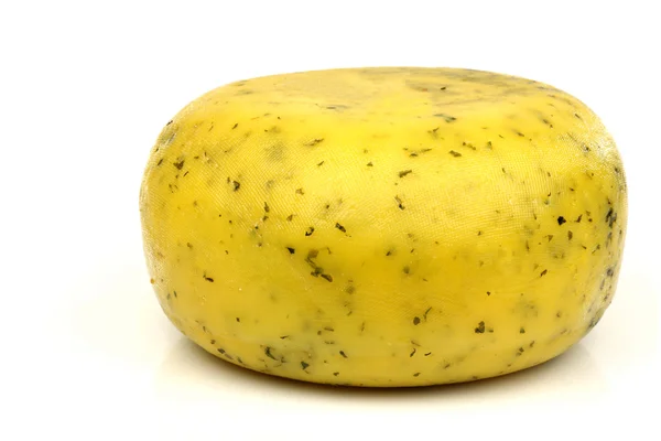 Tradiční gouda sýr s bylinkami — Stock fotografie