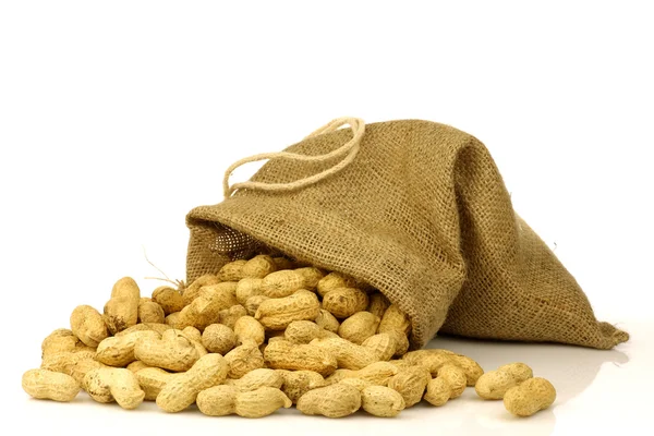 Pytlovina pytel s pražené arašídy — Stock fotografie