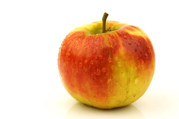 Fresh "Elstar" apple — Stock Photo, Image