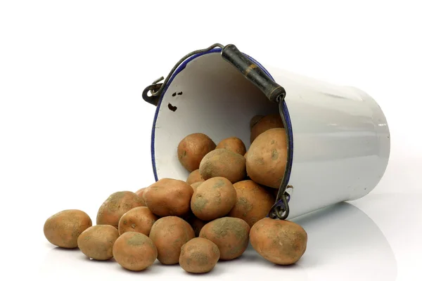 stock image Bunch of potatoes coming out of an old enamel bucket