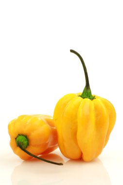 Baharatlı acı biber (Capsicum chinense )