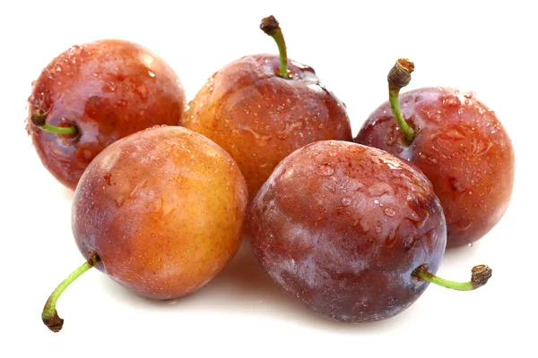 Cinq prunes fraîches mûres — Photo