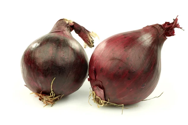Two red onions — Stock Photo, Image