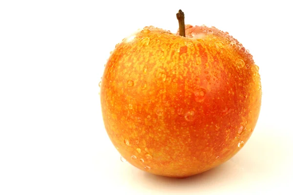 One fresh plum — Stock Photo, Image