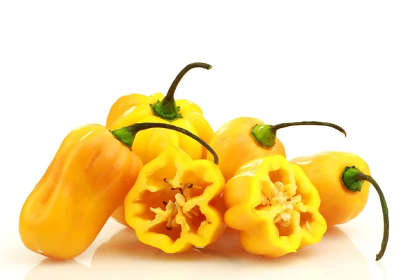 Pittige hete pepers (Capsicum chinense ) — Stockfoto