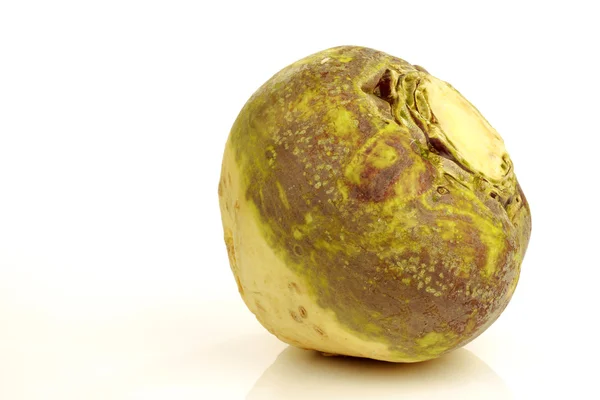 One fresh turnip(Brassica rapa rapa) — Stock Photo, Image