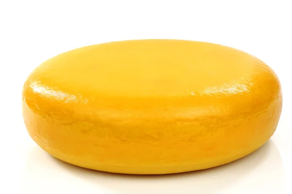 整个奶酪，叫做"goudse kaas" — 图库照片